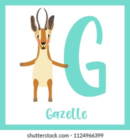 Cute children ABC animal zoo alphabet G letter flashcard of Gazelle standing on two legs for kids learning English vocabulary. Vector illustration.