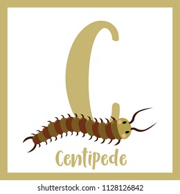 Cute children ABC animal zoo alphabet C letter flashcard of Centipede for kids learning English vocabulary. Vector illustration.