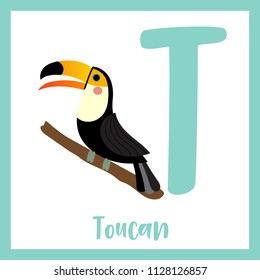 Cute children ABC animal zoo alphabet T letter flashcard of Standing Toucan bird for kids learning English vocabulary. Vector illustration.