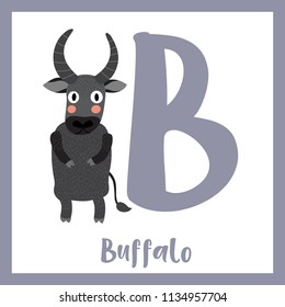 Cute children ABC animal zoo alphabet B letter flashcard of Buffalo standing on two legs for kids learning English vocabulary. Vector illustration.