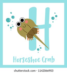 Cute children ABC animal zoo alphabet H letter flashcard of Horseshoe Crab for kids learning English vocabulary. Vector illustration.