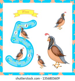 Cute children Flashcard number Five tracing with 5 birds for kids learning to count and to write.