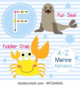 Cute children sea alphabet flashcard of funny marine animal cartoon F letter tracing for kids learning English vocabulary. 