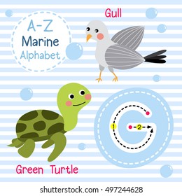 Cute children sea alphabet flashcard of funny marine animal cartoon G letter tracing for kids learning English vocabulary. 