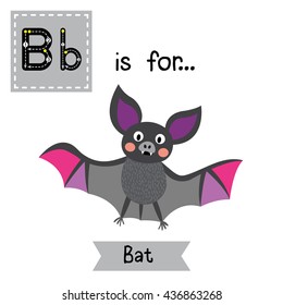 Cute children zoo alphabet B letter tracing of Flying colorful Bat for kids learning English vocabulary. 