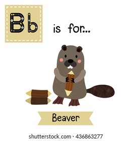 Cute children zoo alphabet B letter tracing of standing Beaver holding a log for kids learning English vocabulary.