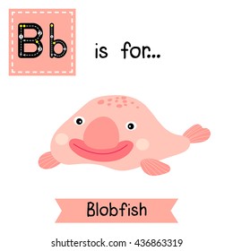 Cute children zoo alphabet B letter tracing of happy smiling pink deep sea Blobfish for kids learning English vocabulary.  