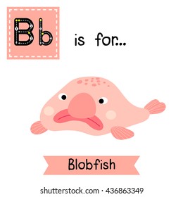 Cute children zoo alphabet B letter tracing of pink deep sea Blobfish for kids learning English vocabulary.  