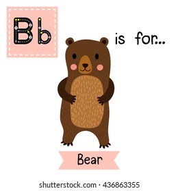 Cute children zoo alphabet B letter tracing of standing Bear for kids learning English vocabulary.  