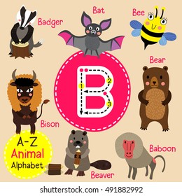 Cute children zoo alphabet B letter tracing of funny animal cartoon for kids learning English vocabulary. 