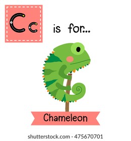 Cute children zoo alphabet C letter tracing of green Chameleon for kids learning English vocabulary.  