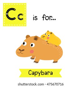 Cute children zoo alphabet C letter tracing of Capybara mother and child for kids learning English vocabulary.  