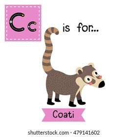 Cute children zoo alphabet C letter tracing of standing Coati for kids learning English vocabulary.  