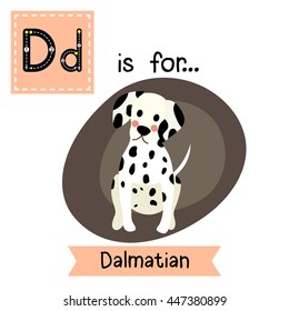 Cute children zoo alphabet D letter tracing of sitting Dalmatian for kids learning English vocabulary.  
