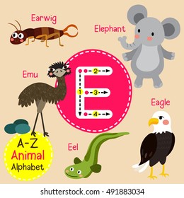 Cute children zoo alphabet E letter tracing of funny animal cartoon for kids learning English vocabulary. 