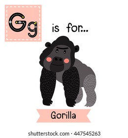 Cute children zoo alphabet G letter tracing of Gorilla for kids learning English vocabulary.  