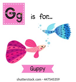 Cute children zoo alphabet G letter tracing of blue and pink Guppy fish for kids learning English vocabulary.
