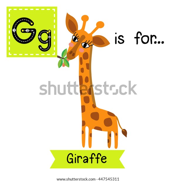 Cute Children Zoo Alphabet G Letter Stock Vector (Royalty Free) 447545311