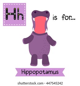 Cute children zoo alphabet H letter tracing of Hippopotamus standing on two legs and opening mouth for kids learning English vocabulary.  