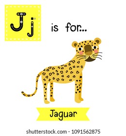 Cute children zoo alphabet J letter tracing of Jaguar for kids learning English vocabulary. Vector illustration.