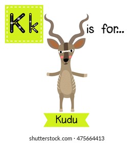 Cute children zoo alphabet K letter tracing of Kudu standing on two legs for kids learning English vocabulary.   