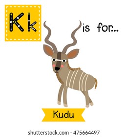 Cute children zoo alphabet K letter tracing of Kudu for kids learning English vocabulary.  
