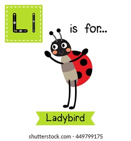 Cute children zoo alphabet L letter tracing of standing Ladybird for kids learning English vocabulary.  
