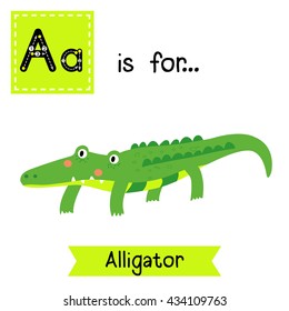 Cute children zoo alphabet A letter tracing of Alligator for kids learning English vocabulary. 