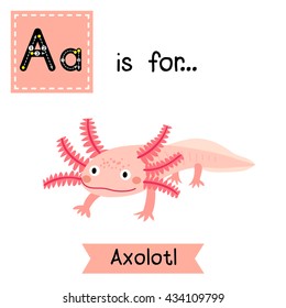 Cute children zoo alphabet A letter tracing of Axolotl for kids learning English vocabulary.  