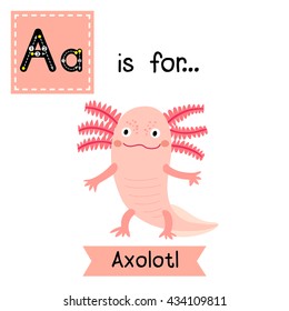 Cute children zoo alphabet A letter tracing of Standing Axolotl for kids learning English vocabulary.  