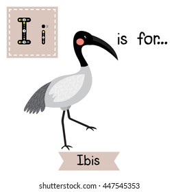 Cute children zoo alphabet I letter tracing of Ibis bird for kids learning English vocabulary.