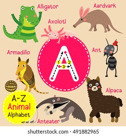 Cute children zoo alphabet A letter tracing of funny animal cartoon for kids learning English vocabulary. 