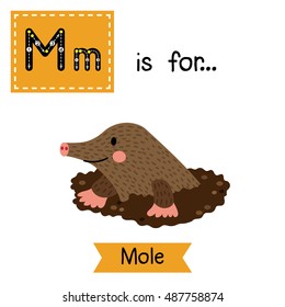 Cute children zoo alphabet M letter tracing of Mole Digging Out of the Dirt for kids learning English vocabulary.   
