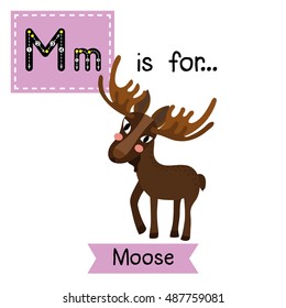 Cute children zoo alphabet M letter tracing of standing Moose for kids learning English vocabulary.  