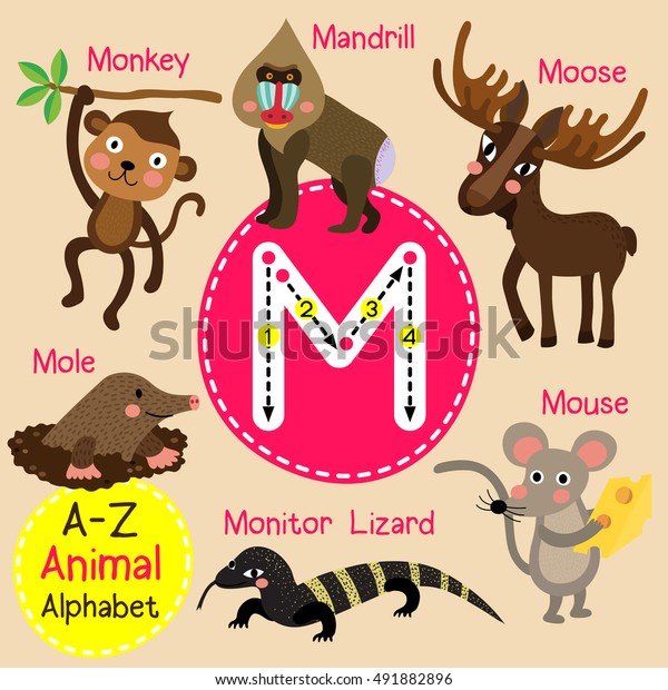可愛い子どもたちのアルファベットmの文字で 英語の単語を学ぶ子どもたちのためのおかしな動物の漫画をトレースしています のベクター画像素材 ロイヤリティフリー