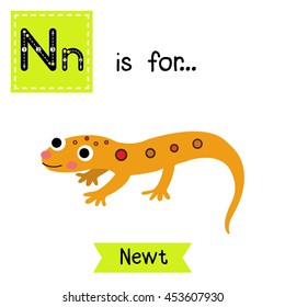 Cute children zoo alphabet N letter tracing of Eastern Red-spotted Newt for kids learning English vocabulary.  