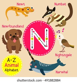 Cute children zoo alphabet N letter tracing of funny animal cartoon for kids learning English vocabulary. 