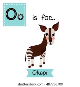 Cute children zoo alphabet O letter tracing of standing Okapi for kids learning English vocabulary.  