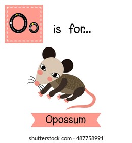 Cute children zoo alphabet O letter tracing of Opossum for kids learning English vocabulary.  