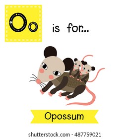 Cute children zoo alphabet O letter tracing of Mother and baby Opossum for kids learning English vocabulary.  