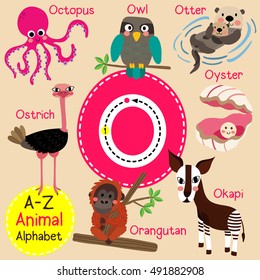 Cute children zoo alphabet O letter tracing of funny animal cartoon for kids learning English vocabulary. 