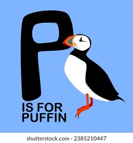 Cute children zoo alphabet P letter of Puffin bird for kids learning English vocabulary.