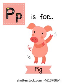 Cute children zoo alphabet P letter tracing of dancing Pig for kids learning English vocabulary.  