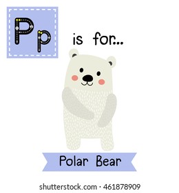 Cute children zoo alphabet P letter tracing of Polar Bear standing on two legs for kids learning English vocabulary.  