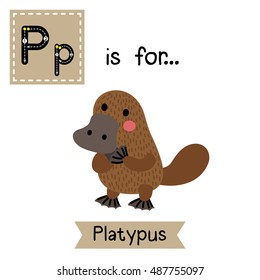 Cute children zoo alphabet P letter tracing of standing Platypus for kids learning English vocabulary.  