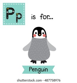 Cute children zoo alphabet P letter tracing of Penguin for kids learning English vocabulary.  