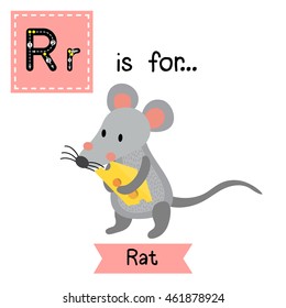 Cute children zoo alphabet R letter tracing of Rat holding cheese for kids learning English vocabulary.  