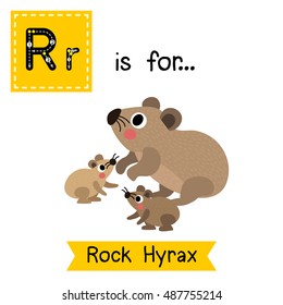 Cute children zoo alphabet R letter tracing of Rock Hyrax family side view for kids learning English vocabulary.  