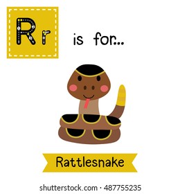 Cute children zoo alphabet R letter tracing of Curled up Rattlesnake for kids learning English vocabulary.   