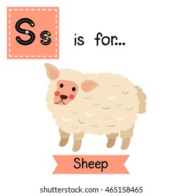Cute children zoo alphabet S letter tracing of standing Sheep for kids learning English vocabulary.  